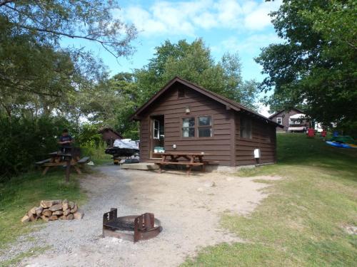 A brown wooden cabin surrounded by trees, with a picnic table and fire pit in front, on a grassy area.