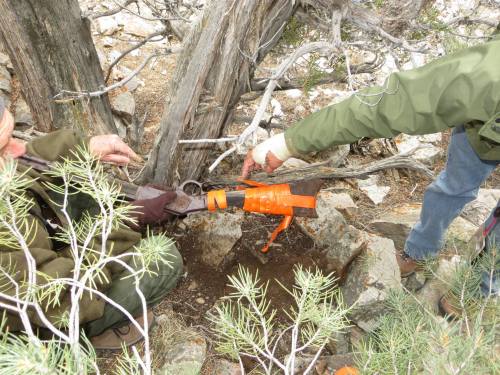 A person in a green jacket holds an orange tool near a rocky area, surrounded by shrubs and trees.