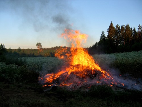 A large fire burns brightly in a field, surrounded by trees and smoke against a clear blue sky.