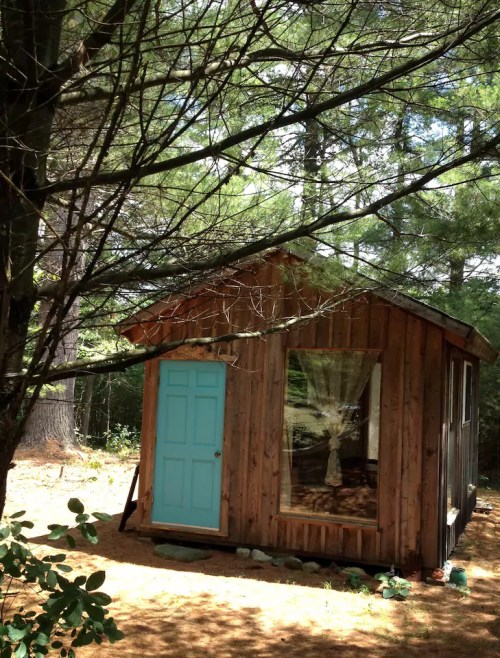 A small wooden cabin with a turquoise door, surrounded by trees and pine needles on the ground.