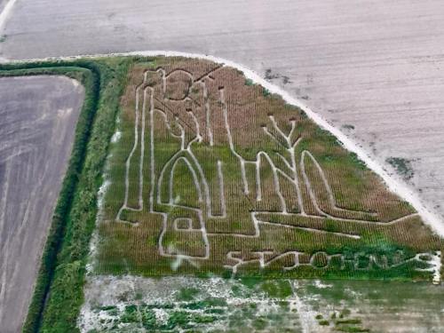 Aerial view of a large, intricate crop design resembling a building or structure in a field.