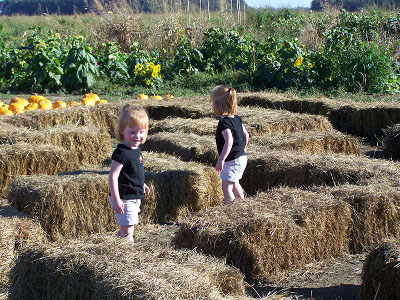 Two young children play in a pumpkin patch maze made of hay bales, surrounded by pumpkins and greenery.