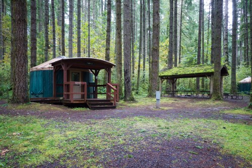 A wooden yurt and a picnic shelter surrounded by tall trees in a forested area.