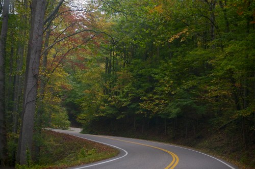 A winding road through a lush forest with vibrant autumn foliage.