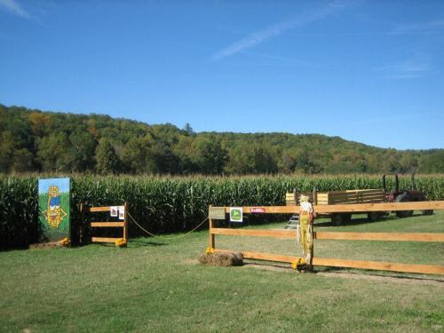A sunny day at a cornfield with a wooden fence, a scarecrow, and a backdrop of green hills.