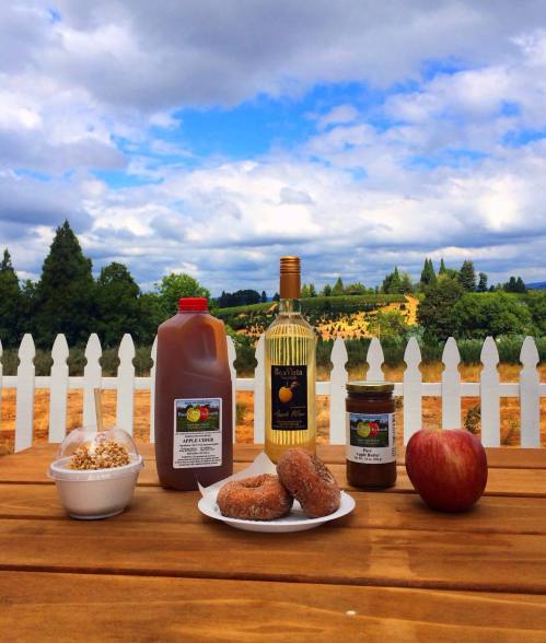 A rustic table displays apple cider, wine, apple butter, donuts, an apple, and a scenic countryside backdrop.