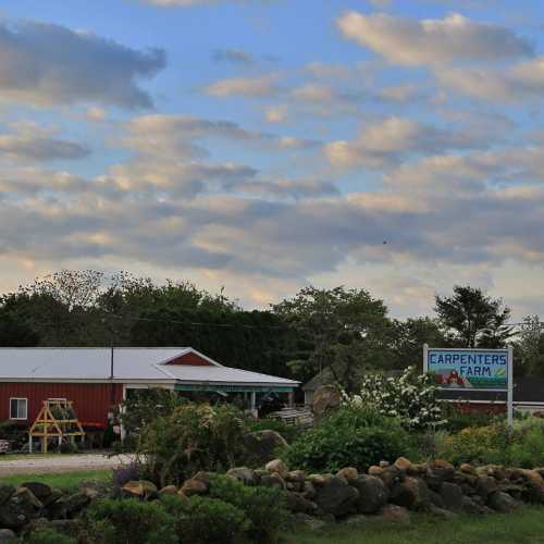 A farm with a red building, green trees, and a sign reading "Carpenters Farm" under a cloudy sky.