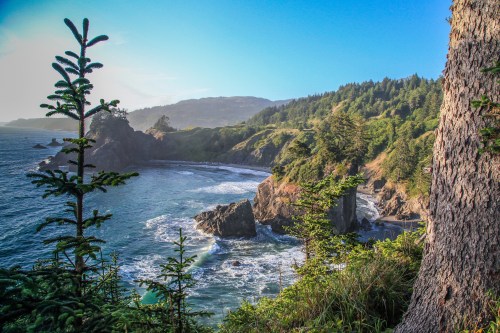 A scenic coastal view with rocky cliffs, lush greenery, and waves crashing against the shore under a clear blue sky.