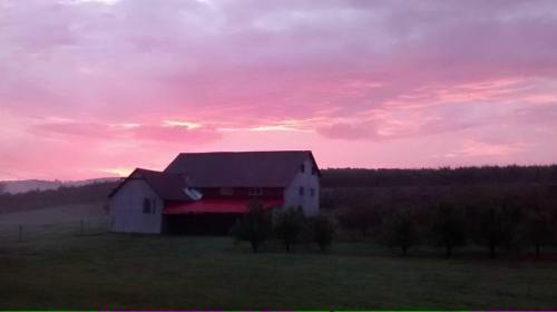 A rustic barn sits in a field under a vibrant pink and purple sky at sunset.