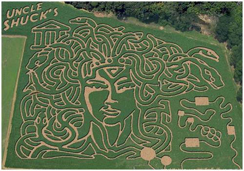 Aerial view of a corn maze featuring a woman's face with intricate designs and the text "Uncle Shuck's."