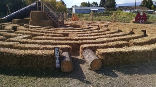A hay bale maze with a wooden entrance sign, surrounded by a grassy field and a barn in the background.
