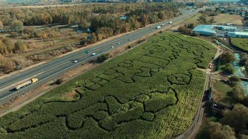 Aerial view of a large corn maze shaped like a map, alongside a highway with vehicles passing by.