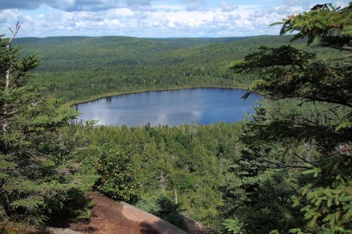 alt