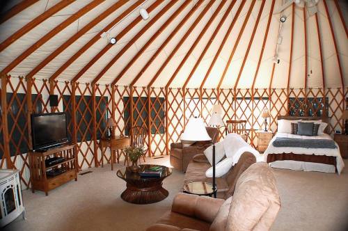 Interior of a cozy yurt featuring wooden beams, comfortable seating, a bed, and a TV. Warm and inviting atmosphere.