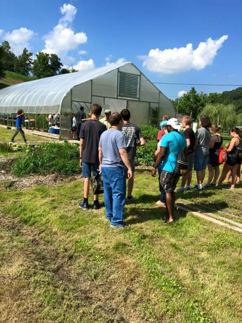 A group of people stands in line outside a greenhouse on a sunny day, surrounded by greenery and blue skies.