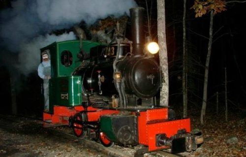 A vintage steam locomotive emits smoke while parked on a forested track at night.