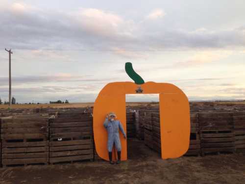 A person in a blue outfit stands by a large orange pumpkin-shaped entrance in a field with wooden crates.