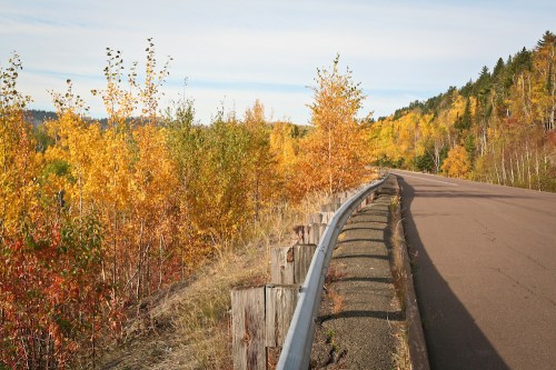 A winding road bordered by vibrant autumn trees in shades of yellow and orange under a clear blue sky.
