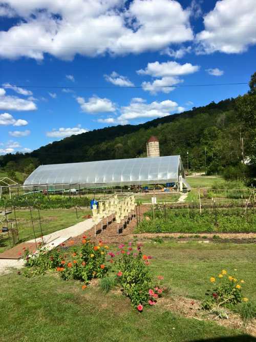 A sunny farm scene featuring a greenhouse, a silo, and colorful flowers in the foreground against a blue sky.