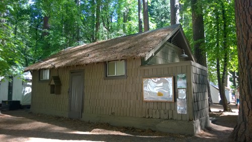 A rustic cabin with a thatched roof, surrounded by tall trees in a forested area.