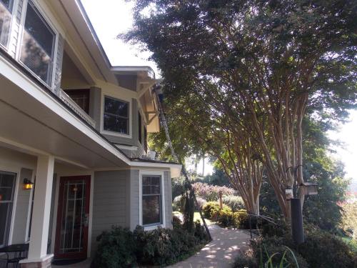 A house with a ladder leaning against it, surrounded by trees and a well-maintained garden path.