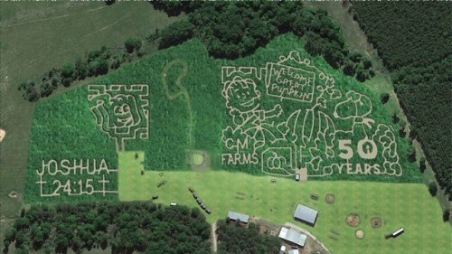 Aerial view of a corn maze featuring "Welcome to CM Farms," "50 Years," and a Bible verse, surrounded by greenery.