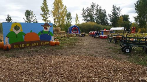 Colorful farm scene with a sign for Meadowlark Farm, pumpkins, hay bales, and playful decorations in a rural setting.