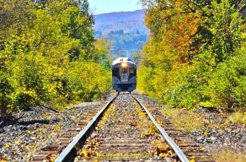 A train approaches on a railway surrounded by vibrant autumn foliage and clear blue skies.