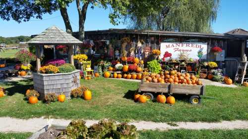 A vibrant farm stand with pumpkins, colorful flowers, and a gazebo, set against a sunny backdrop.