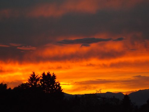 A vibrant sunset with orange and yellow hues, silhouetting dark trees and mountains against a dramatic sky.