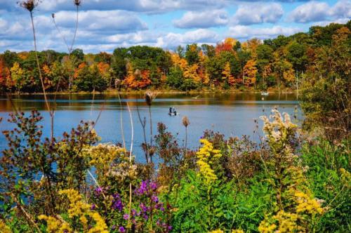 A serene lake surrounded by colorful autumn foliage and wildflowers under a partly cloudy sky.
