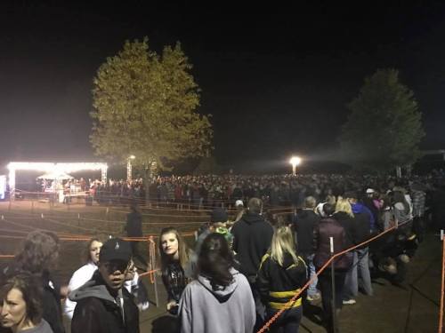 A large crowd gathers at night for an outdoor event, with trees and stage lights in the background.