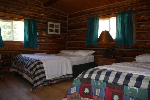 Cozy log cabin interior with two beds, blue curtains, and wooden walls, creating a rustic atmosphere.