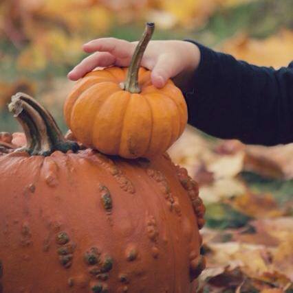 A child's hand reaches for a small pumpkin resting on a larger, bumpy pumpkin amidst autumn leaves.