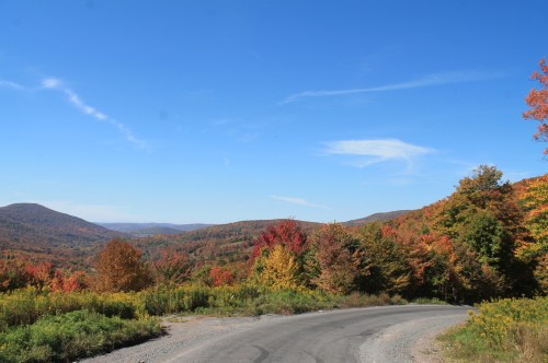 Scenic view of colorful autumn foliage on rolling hills under a clear blue sky, with a winding road in the foreground.