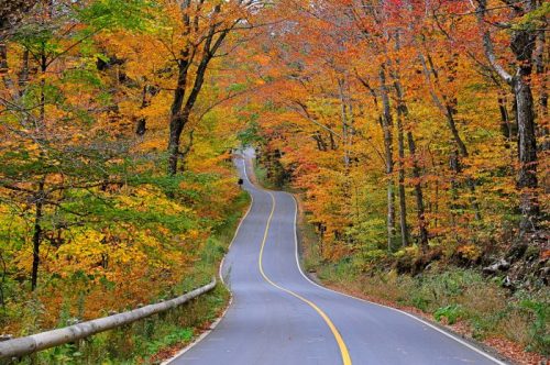 A winding road through a vibrant autumn forest with colorful leaves in shades of orange, yellow, and red.