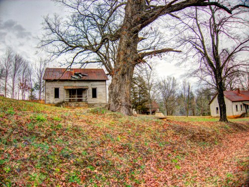 An old, weathered house with a rusty roof, surrounded by trees and autumn leaves on a cloudy day.