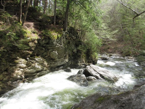 A rushing river flows through a rocky landscape, surrounded by lush green trees and steep cliffs.