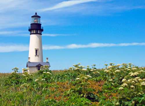 A tall lighthouse stands on a grassy hill, surrounded by wildflowers under a clear blue sky.