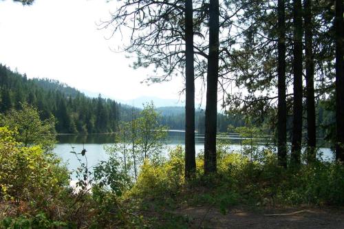 A serene lake surrounded by trees and mountains, with a clear sky and lush greenery in the foreground.