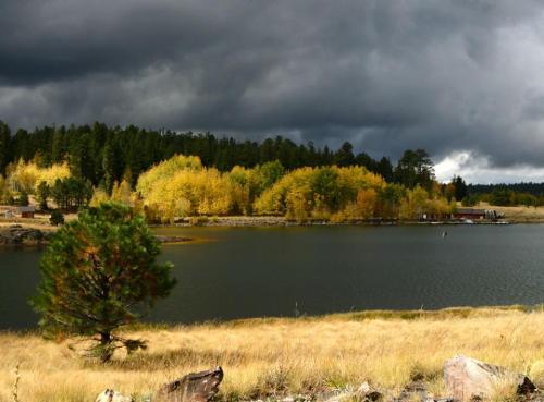 A serene lake surrounded by autumn trees under a dramatic, cloudy sky.