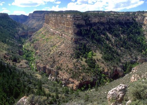 A scenic view of a canyon with steep cliffs, lush greenery, and a blue sky dotted with clouds.