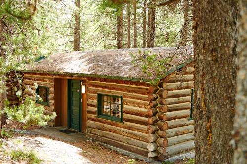 A rustic log cabin nestled among trees in a forested area, featuring a green door and windows.