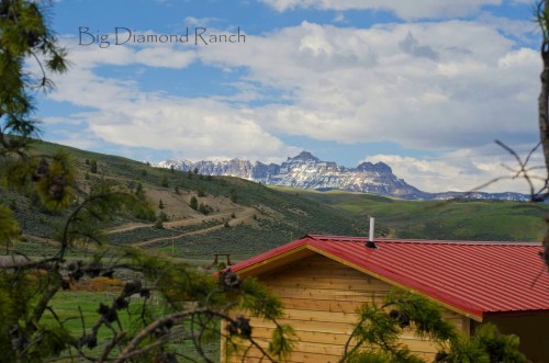 A scenic view of mountains in the distance, framed by trees, with a rustic cabin featuring a red roof in the foreground.