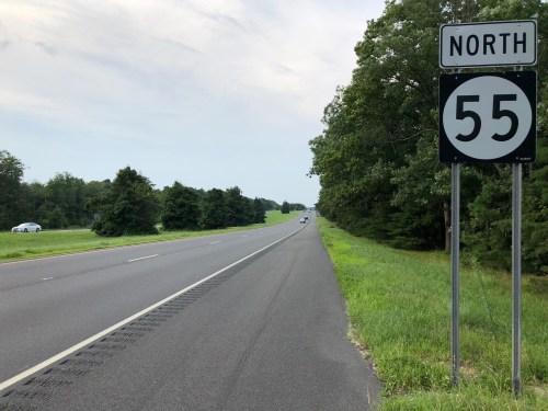 A highway sign indicating "North 55" alongside a two-lane road bordered by trees and grass.