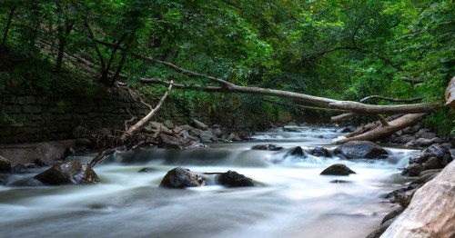A serene river flows through a lush green forest, with smooth stones and fallen branches along the banks.