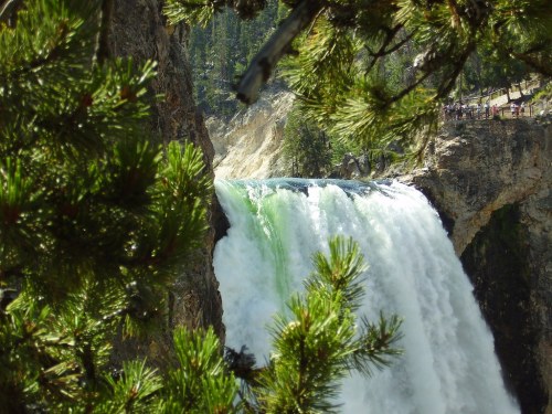 A waterfall cascades down a rocky cliff, framed by lush green pine branches.