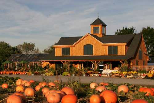 A wooden barn surrounded by pumpkins and colorful plants under a clear sky.