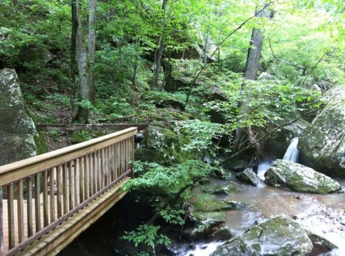 A wooden bridge crosses a stream surrounded by lush green trees and rocky terrain in a serene forest setting.