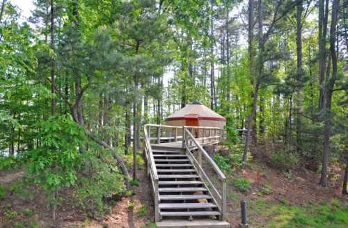 A wooden staircase leads up to a yurt nestled among lush green trees in a forested area.